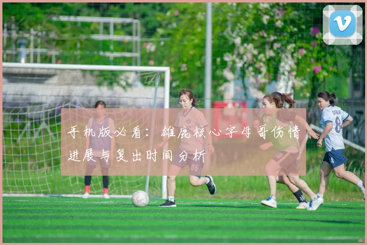 手机版必看：雄鹿核心字母哥伤情进展与复出时间分析