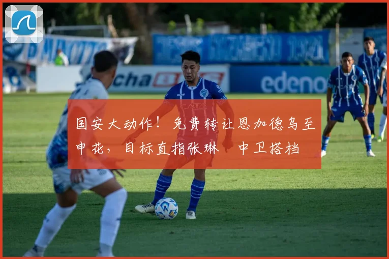 国安大动作!免费转让恩加德乌至申花,目标直指张琳芃中卫搭档