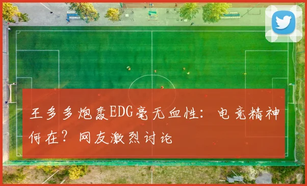 王多多炮轰EDG毫无血性：电竞精神何在？网友激烈讨论