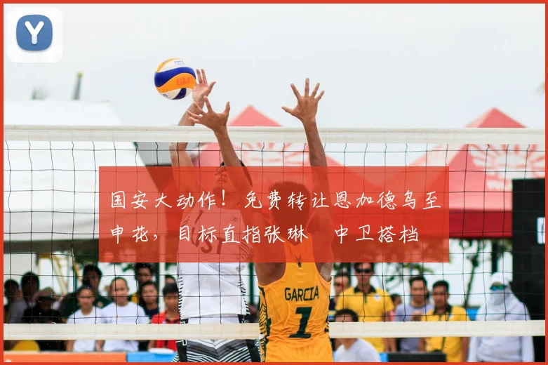国安大动作！免费转让恩加德乌至申花，目标直指张琳芃中卫搭档